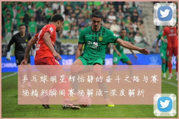 乒乓球明星郑怡静的奋斗之路与赛场精彩瞬间赛场解读-深度解析