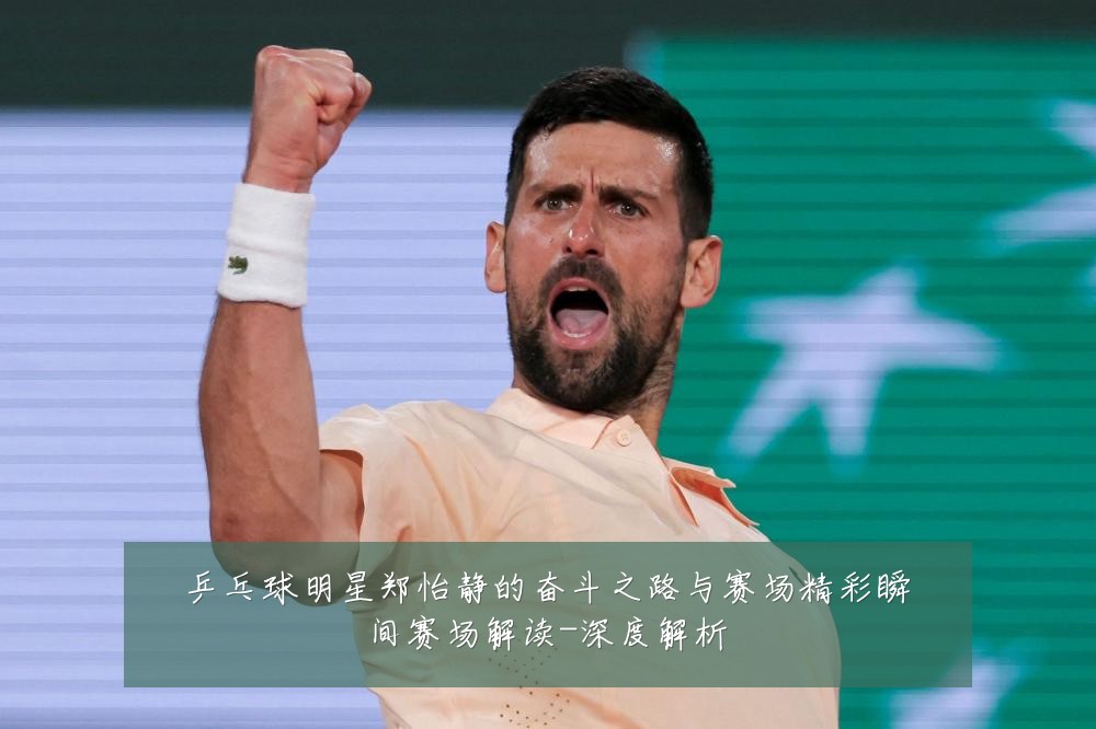 乒乓球明星郑怡静的奋斗之路与赛场精彩瞬间赛场解读-深度解析